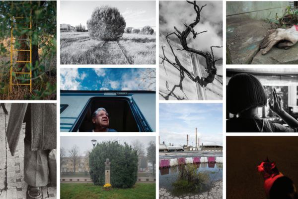 biblioteca passerini