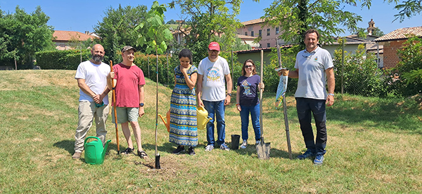 Alberi a Trevozzo