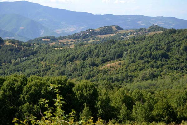 Bando montagna 2