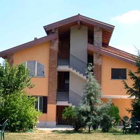 La vite e i tralci