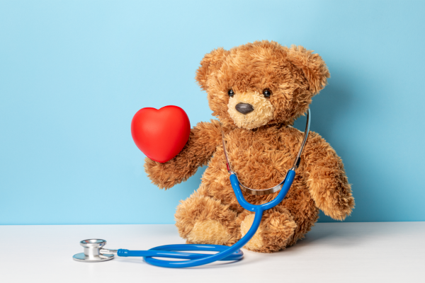 Rete cardiologica