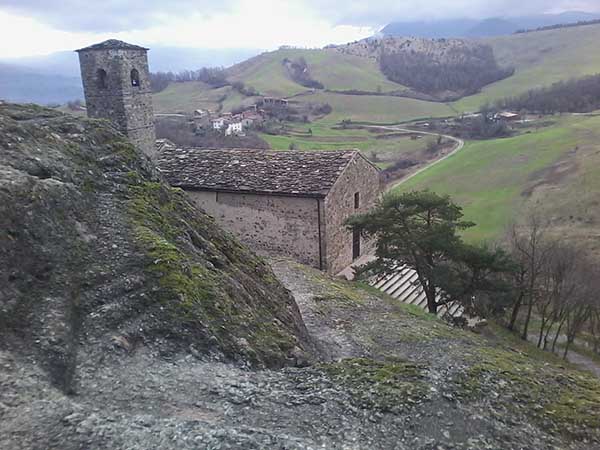 perduca
