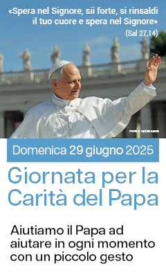 Banner FISC caritaPapa2025 240x400