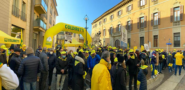 manifestanti piazza