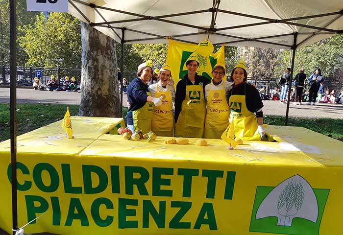 zucca
