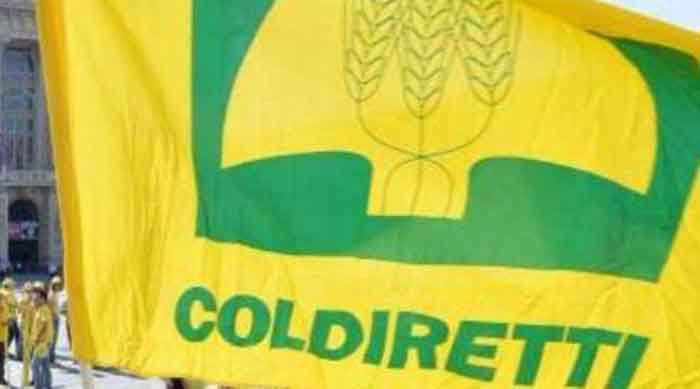 I colori di Coldiretti