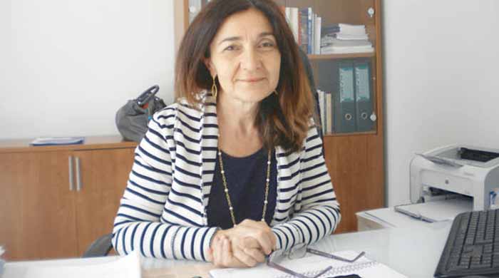 Corvi