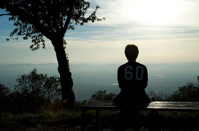 umiltà scegliere se siamo lupi o pecore