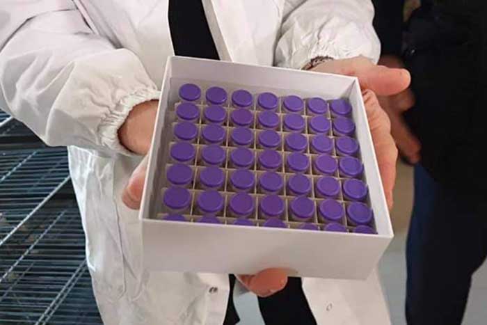 vaccini