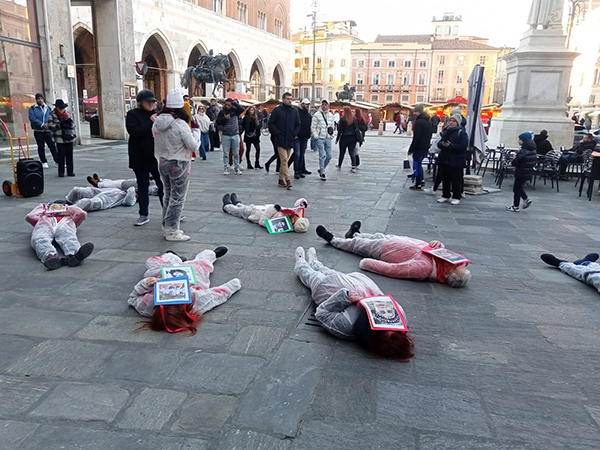 iranpiacenza