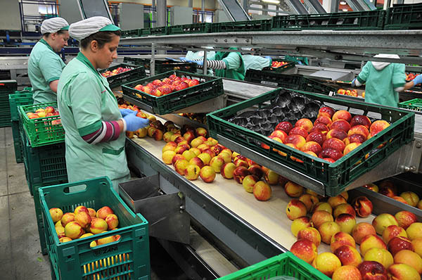Export Piacenza settembre