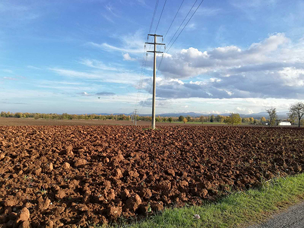 Risorse economiche per agricoltura