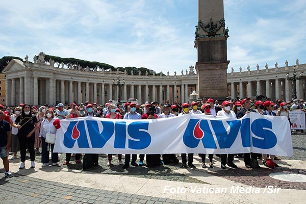avis