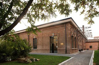 muse storia naturale copia