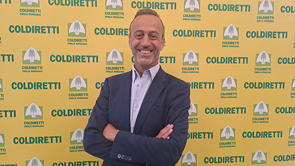 nicola bertinelli