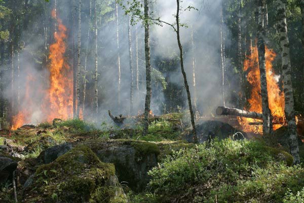 rischi incendi boschivi